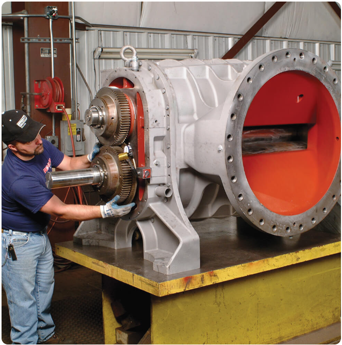 Nuestra experiencia en campo